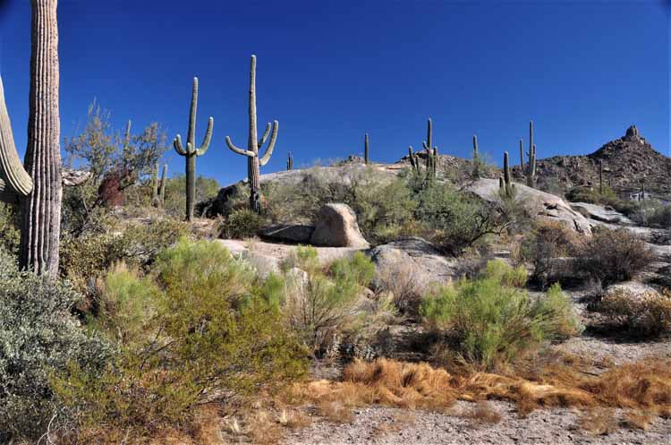 pinnacle peak